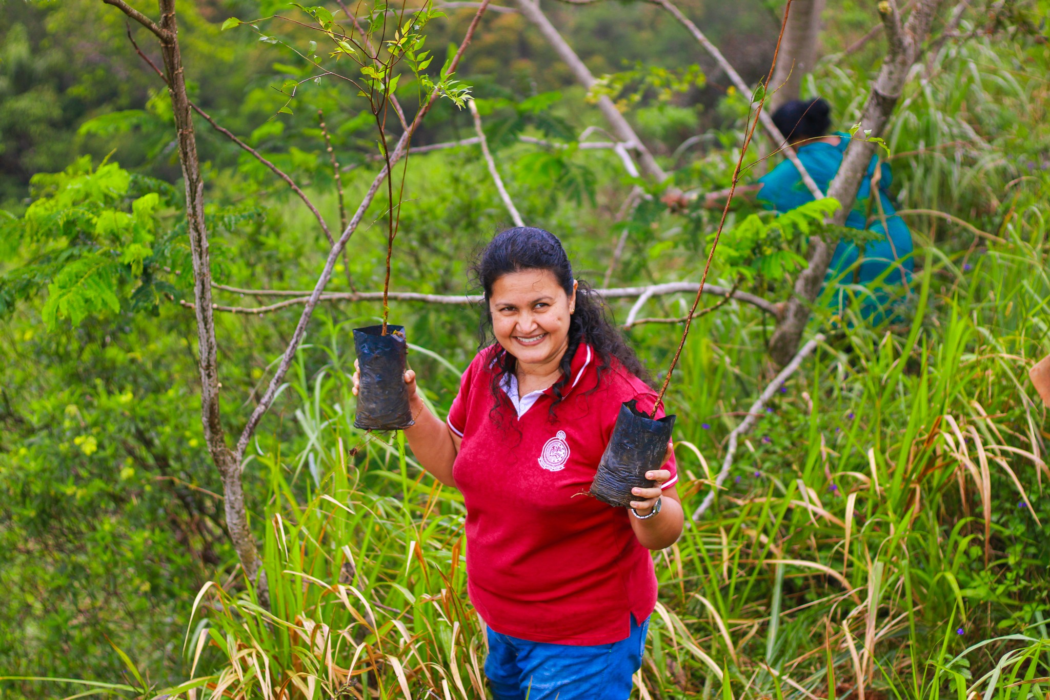 රුක් රෝපන වැඩසටහන – පළාත් පාලන සතිය – 2025